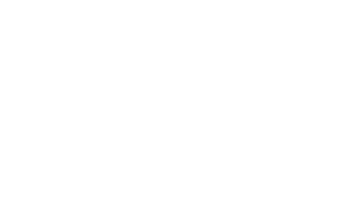 Wells Cattle Co.