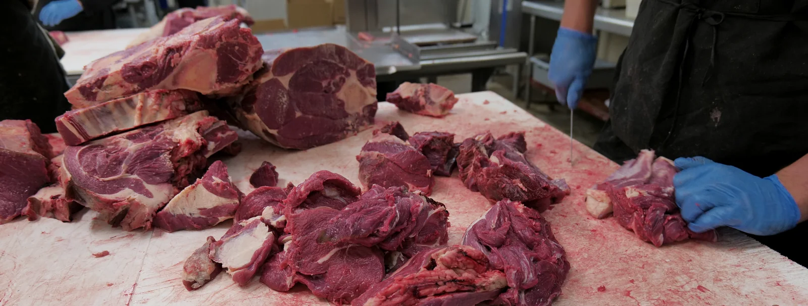 Whole beef primals and trimmed cuts on the cutting table, being broken down by butchers in gloves